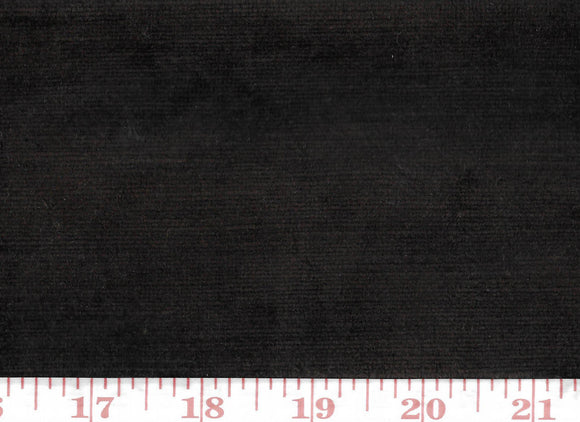 Cheeky Velvet,  CL Coffee (565) Upholstery Fabric