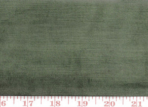 Cheeky Velvet,  CL Moss (351) Upholstery Fabric