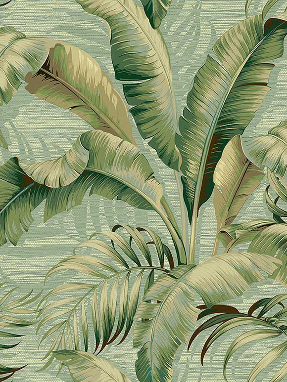 Palmiers CL Seamist Peel & Stick Wallpaper by Tommy Bahama and PK Lifestyles
