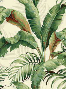Palmiers CL Aloe Peel & Stick Wallpaper by Tommy Bahama and PK Lifestyles