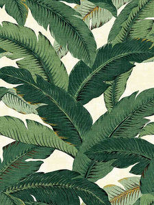 Swaying Palms CL Aloe Peel & Stick Wallpaper by Tommy Bahama and PK Lifestyles