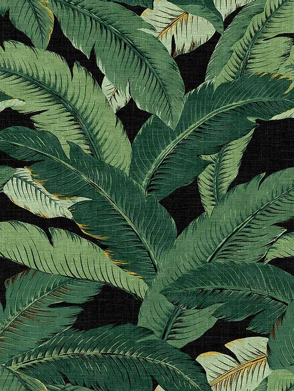 Swaying Palms CL Coal Peel & Stick Wallpaper by Tommy Bahama and PK Lifestyles