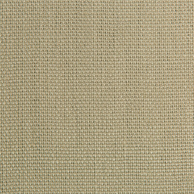 Temana Reed Upholstery Fabric  by Kravet