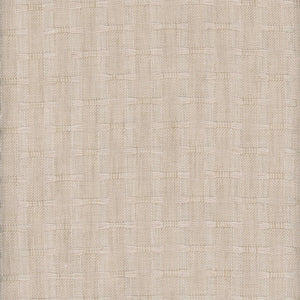Hashtag CL Shale  Drapery Fabric by Roth & Tompkins