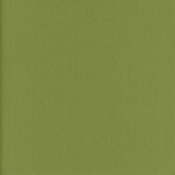 Lucky CL Grass Drapery Upholstery Fabric by Roth & Tompkins