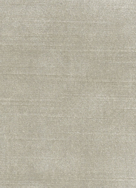 Brussels CL Oyster Velvet Upholstery Fabric by American Silk Mills - Cut & Stock Program