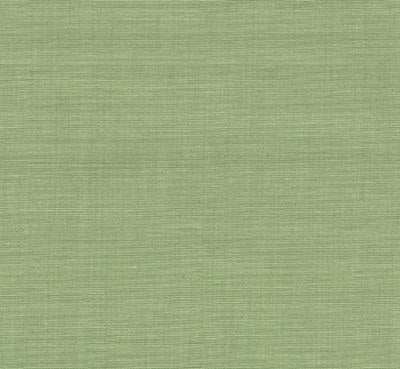 Clipper CL Sagegrass Drapery Upholstery Fabric by Roth & Tompkins