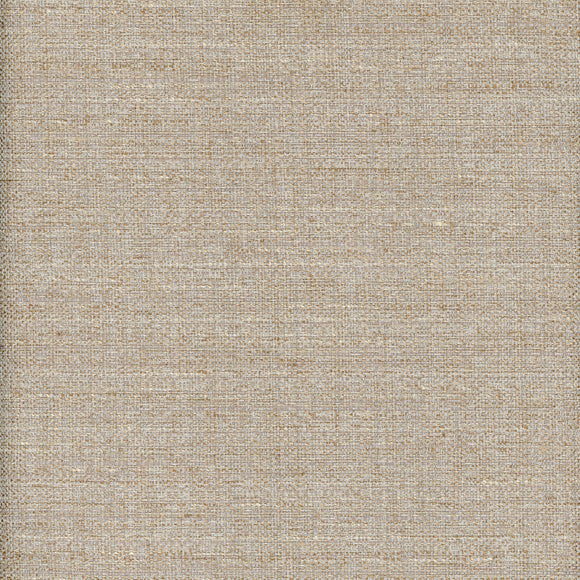Quinn CL Mineral Drapery  Fabric by Roth & Tompkins