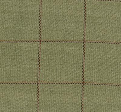 Frazier CL Drill  Upholstery Fabric by Roth & Tompkins