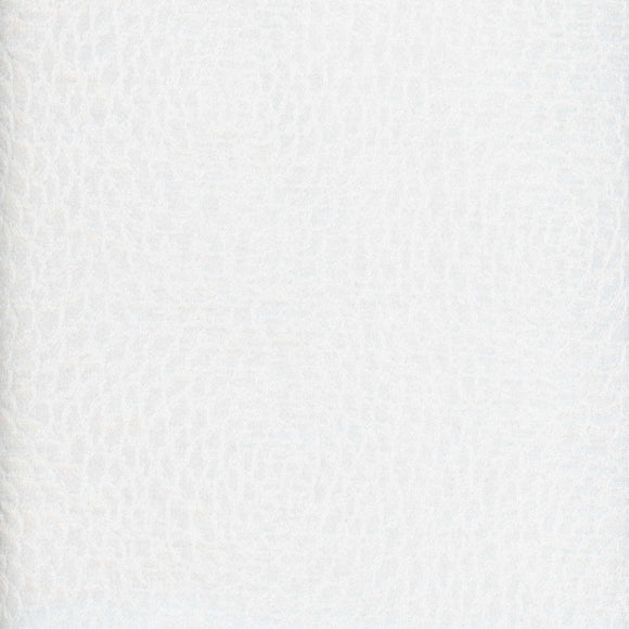 Highland  CL Cloud Drapery Upholstery Fabric by Roth & Tompkins