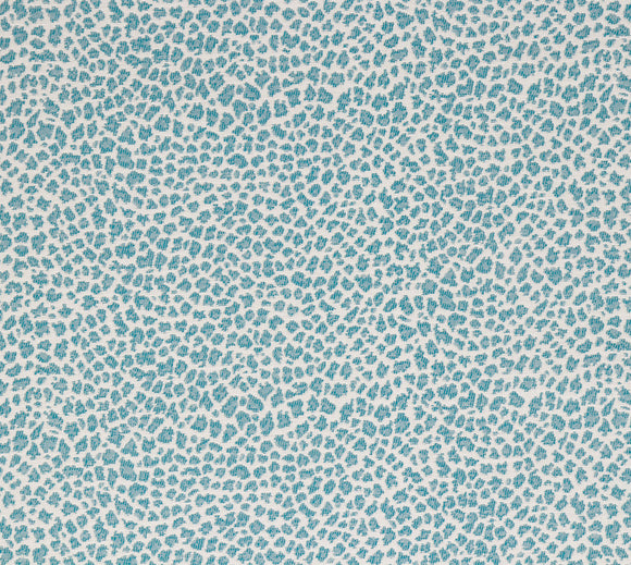 Mozam CL Surfside Indoor Outdoor Upholstery Fabric by Bella Dura