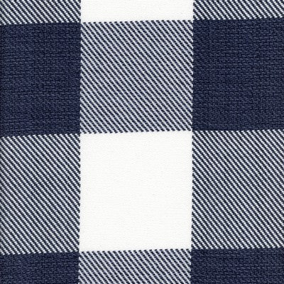 Metro Check CL Indigo Drapery Upholstery Fabric by Roth & Tompkins
