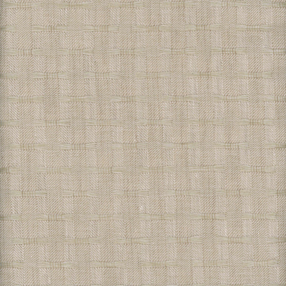 Hashtag CL Celery Drapery Fabric by Roth & Tompkins