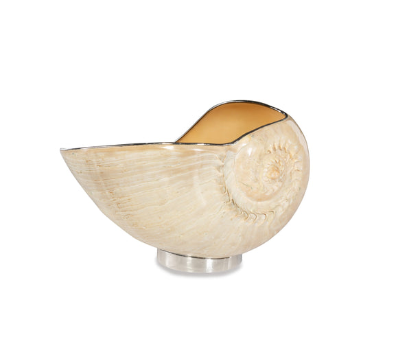 Benitra Shell Bowl CL Natural Shell by Curated Kravet