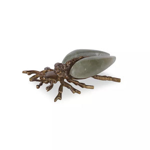 Indu Brass Bug by Curated Kravet