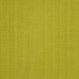 River Run CL  Keylime  Indoor Outdoor Upholstery Fabric by Bella Dura