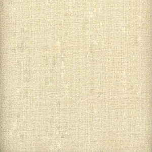 Raw Silk Crepe CL Oyster Drapery  Fabric by Roth & Tompkins