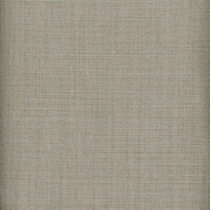 Raw Silk Crepe CL Pewter Drapery  Fabric by Roth & Tompkins
