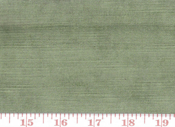 Cheeky Velvet,  CL Grass (350) Upholstery Fabric