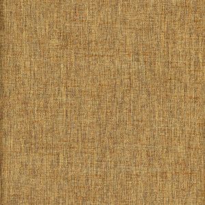 Cruz  CL Coin  Upholstery Fabric by Roth & Tompkins