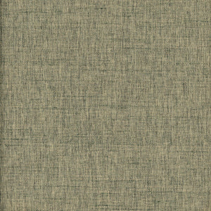 Cruz  CL Water Upholstery Fabric by Roth & Tompkins