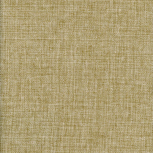 Verona CL Grass Drapery Fabric by Roth & Tompkins