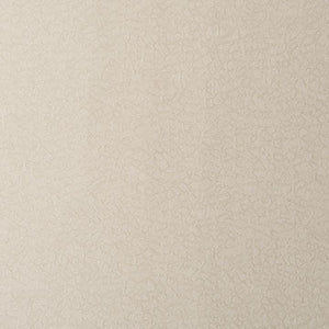 Barracuda CL Fog Vinyl Upholstery Fabric by Kravet