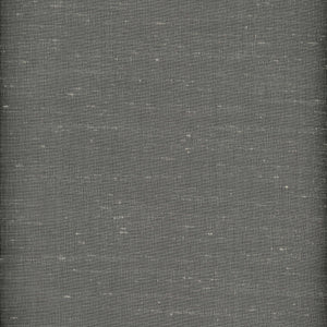 Milano CL Ash Drapery  Fabric by Roth & Tompkins