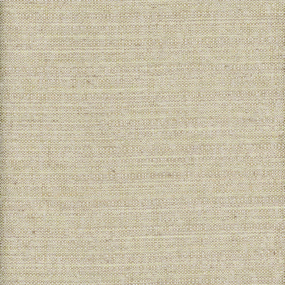 Quinn CL Kiwi Drapery  Fabric by Roth & Tompkins